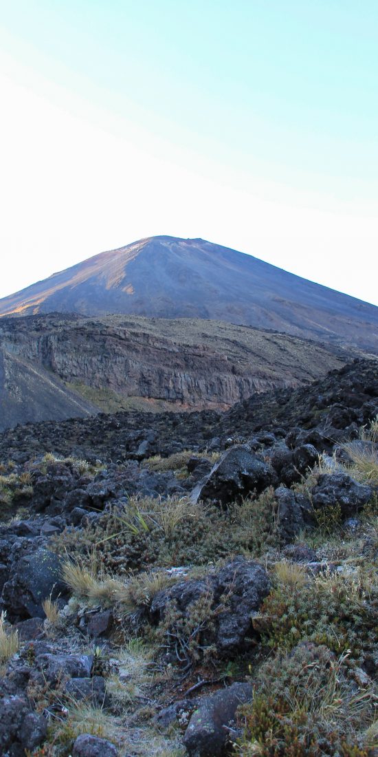 Tongariro in de ochtend