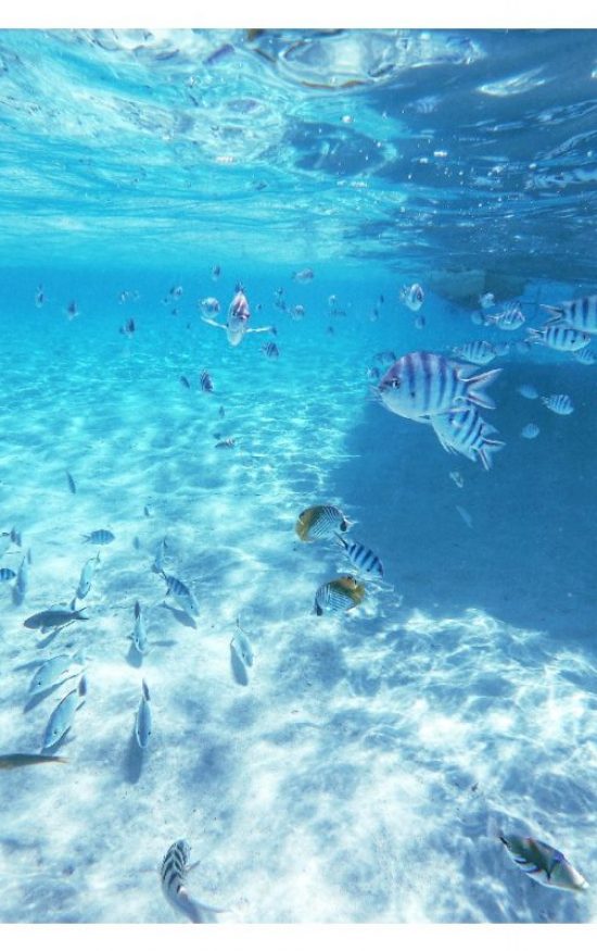snorkelen pacific